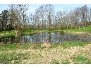 Property photo 31 - REAL ESTATE & PERSONAL PROPERTY AUCTION - 23.5+/- ACRES OFFERED IN 3 TRACTS OR COMBINATIONS IN EAST ALLEN COUNTY
